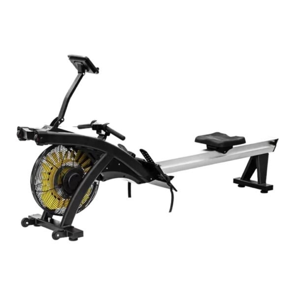 Heavy Commercial 2 in 1 Air Rower