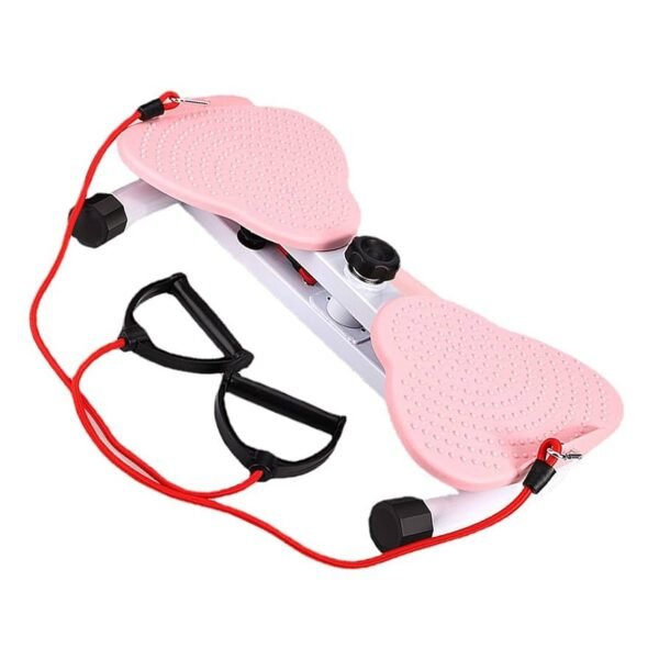 Multi-functional Twisting Stepper Disc